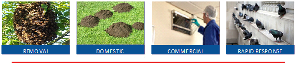 Pestforce Pest Control in Brent
