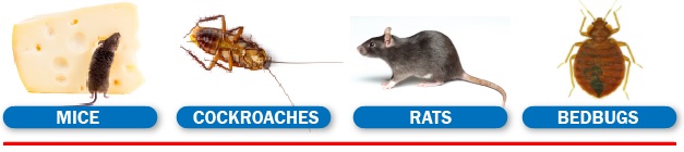 West End London Pest Control